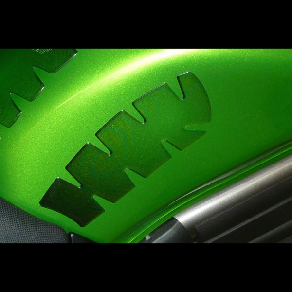 Kawasaki Kawasaki ER6 Knee pads